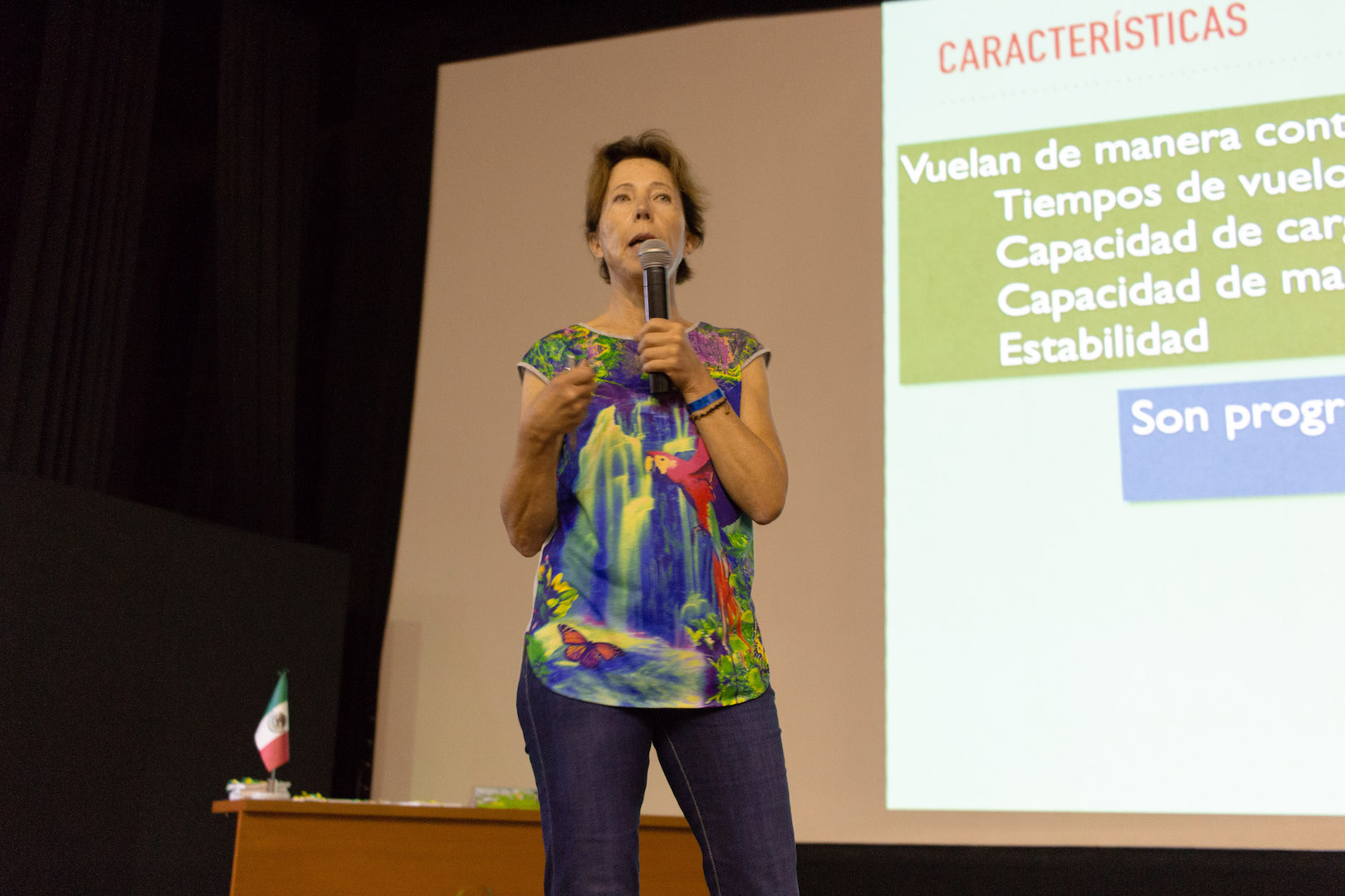 Dra. Geneviève Lucet, investigadora del Instituto de Investigaciones Estéticas de la UNAM