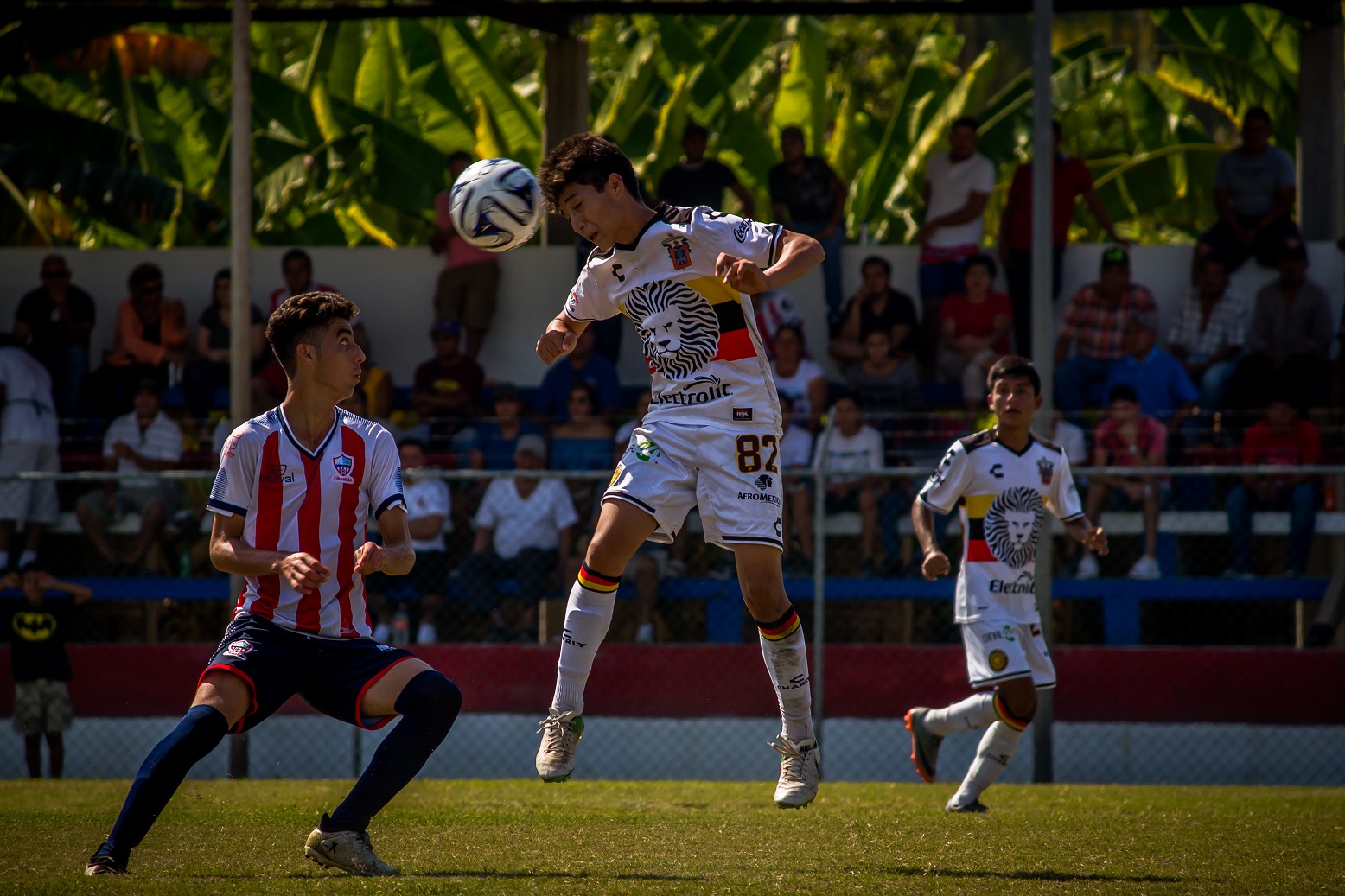 La 31° Copa Vallarta Soccer logró reunir a 170 equipos y 3 mil 500 jugadores