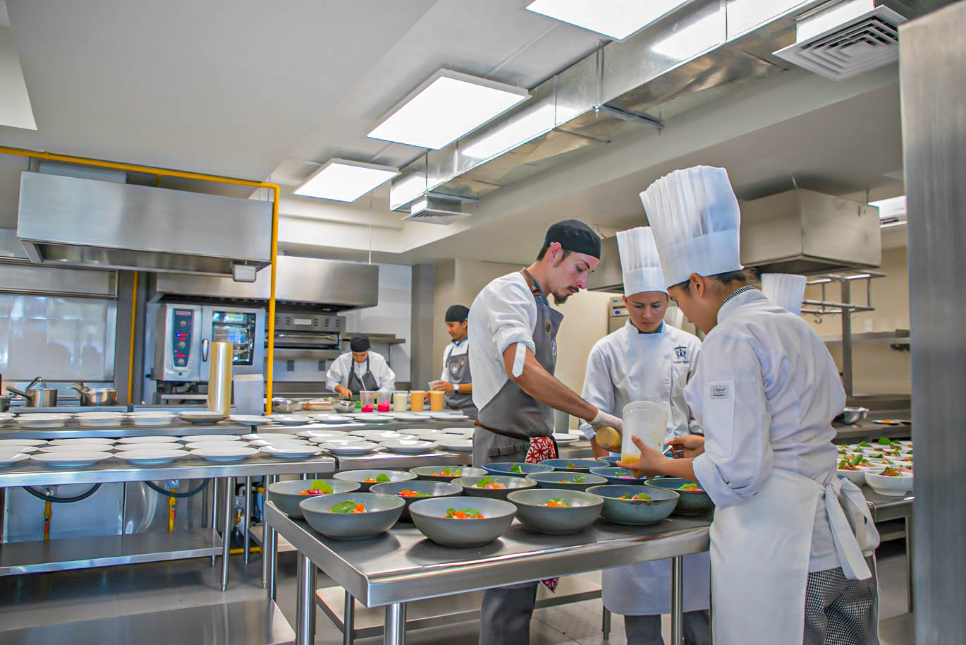 Ciencias y Artes Culinarias