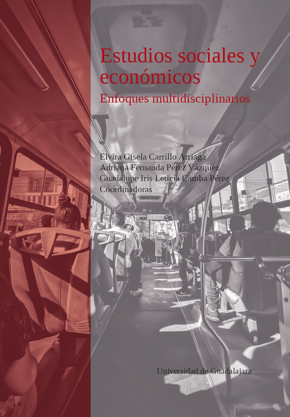 Estudios sociales y económicos. Enfoques multidisciplinarios