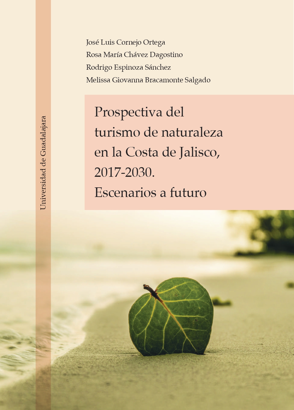 Prospectiva del turismo de naturaleza en la costa de Jalisco 2017-2030. Escenarios a futuro<br />
                                    