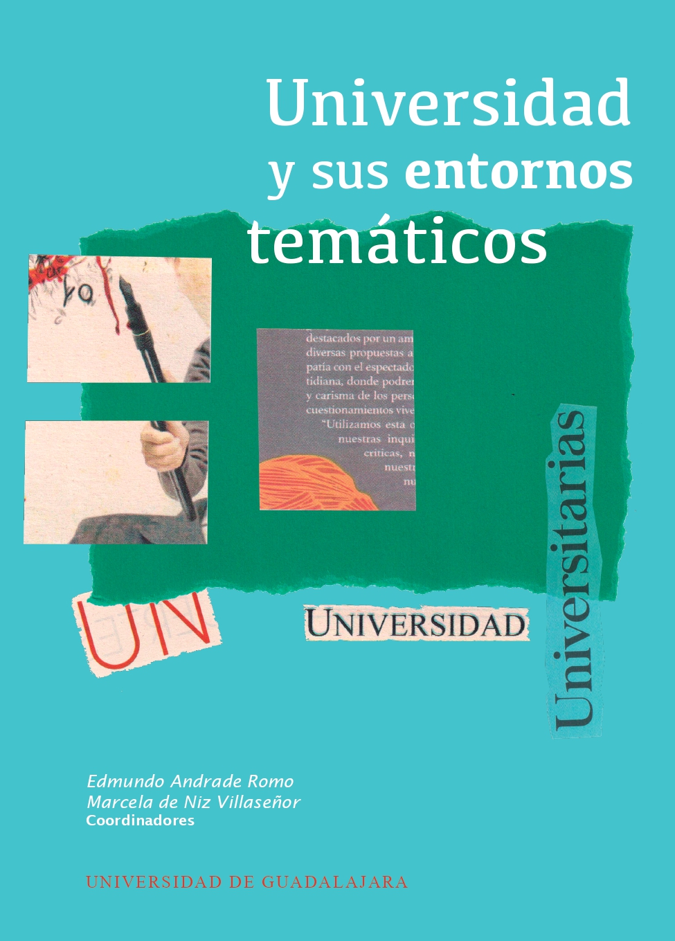 Universidad y sus entornos temáticos<br />
                                                