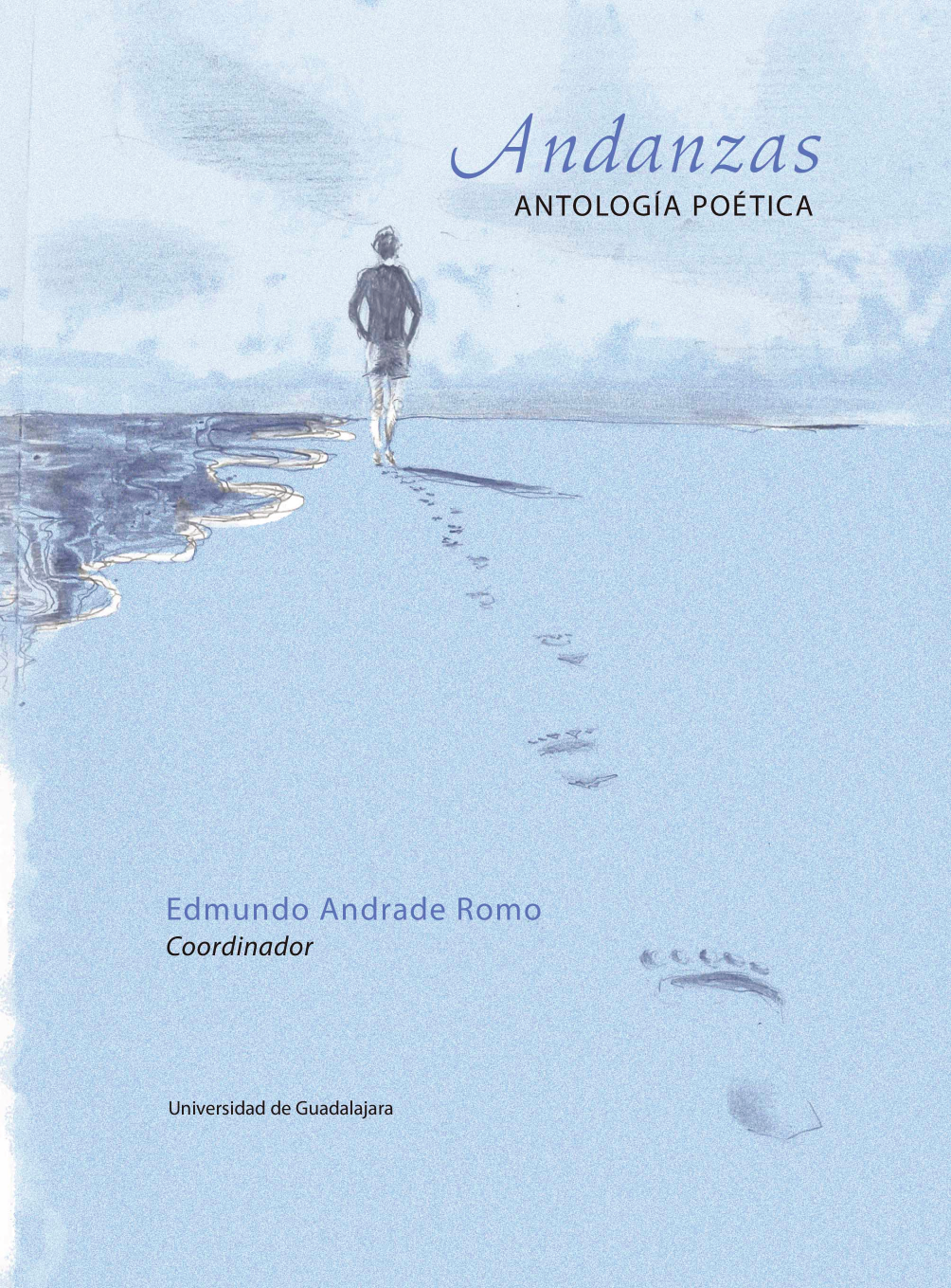 Andanzas. Antología poética<br />
                