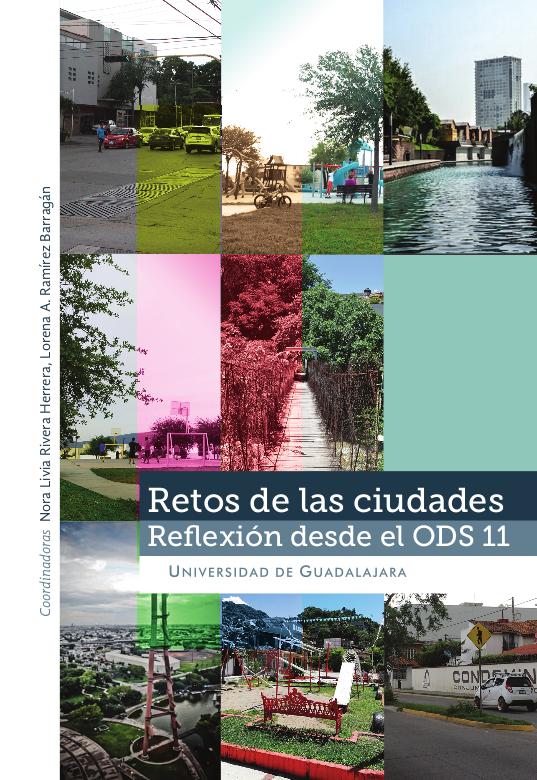 Retos de las ciudades. Reflexión desde el ODS 11 - 2019