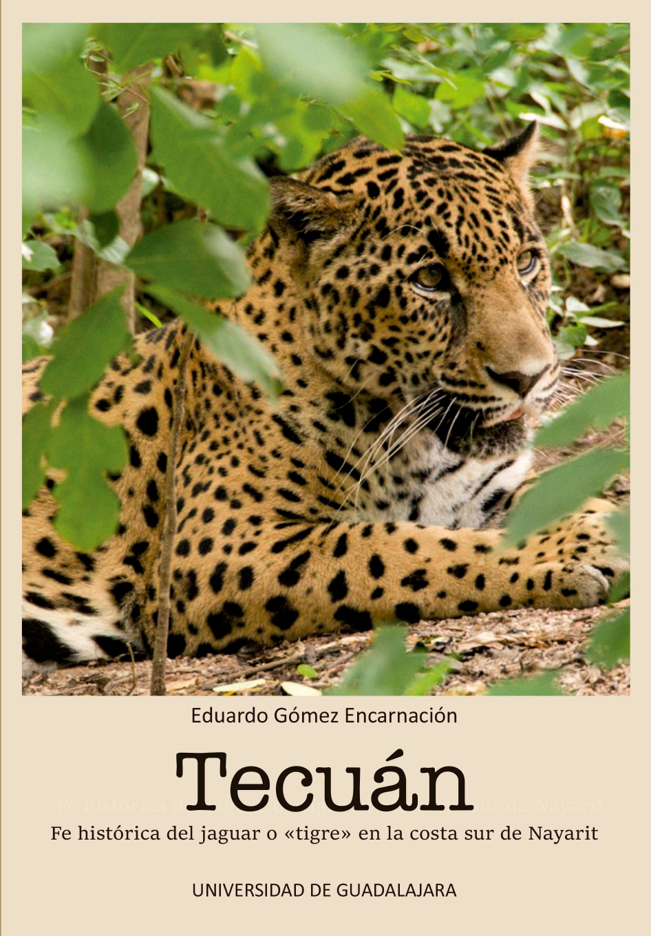 Tecuán. Fe histórica del jaguar o «tigre» en la costa sur de Nayarit<br />
