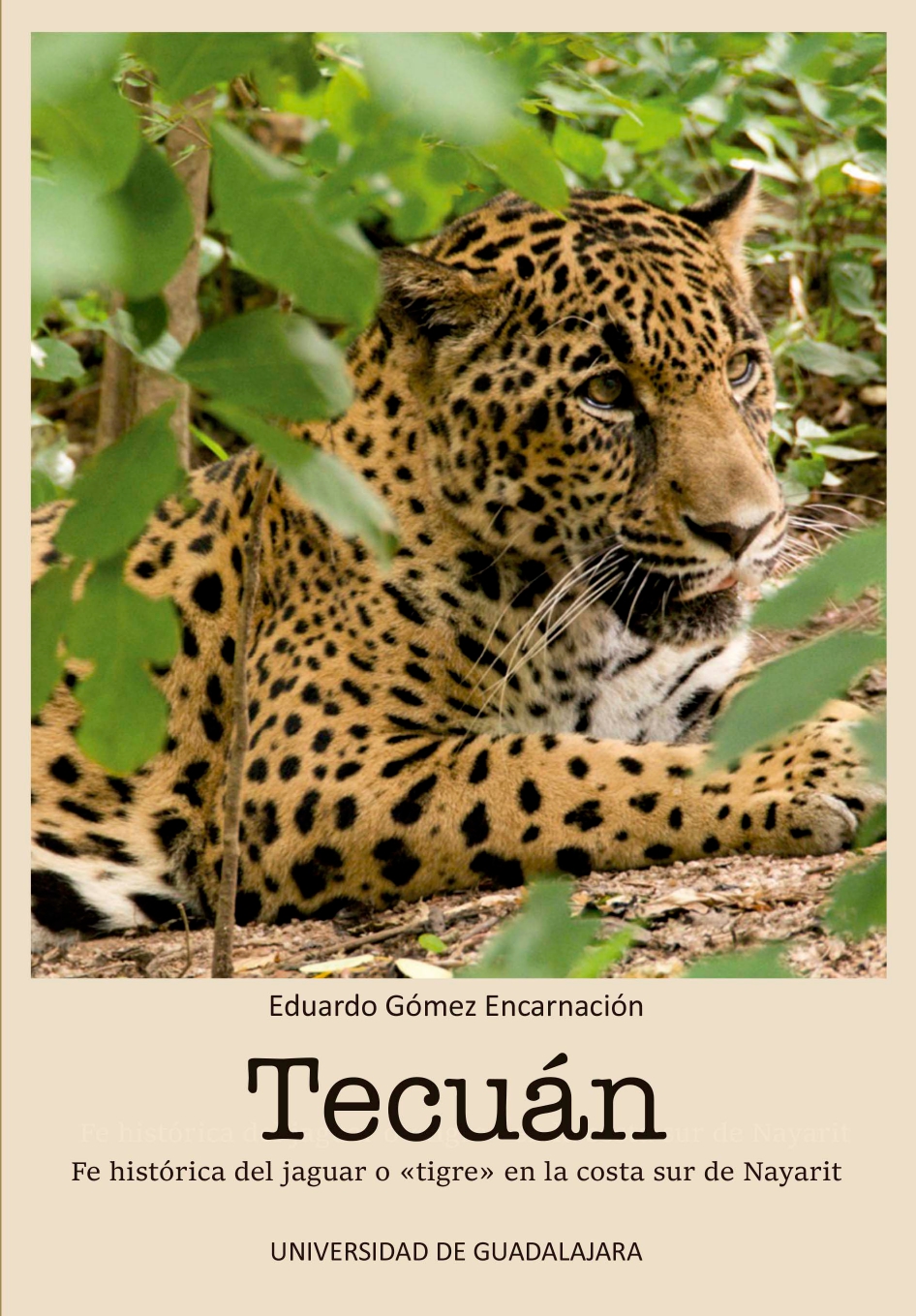 Tecuán. Fe histórica del jaguar o «tigre» en la costa sur de Nayarit