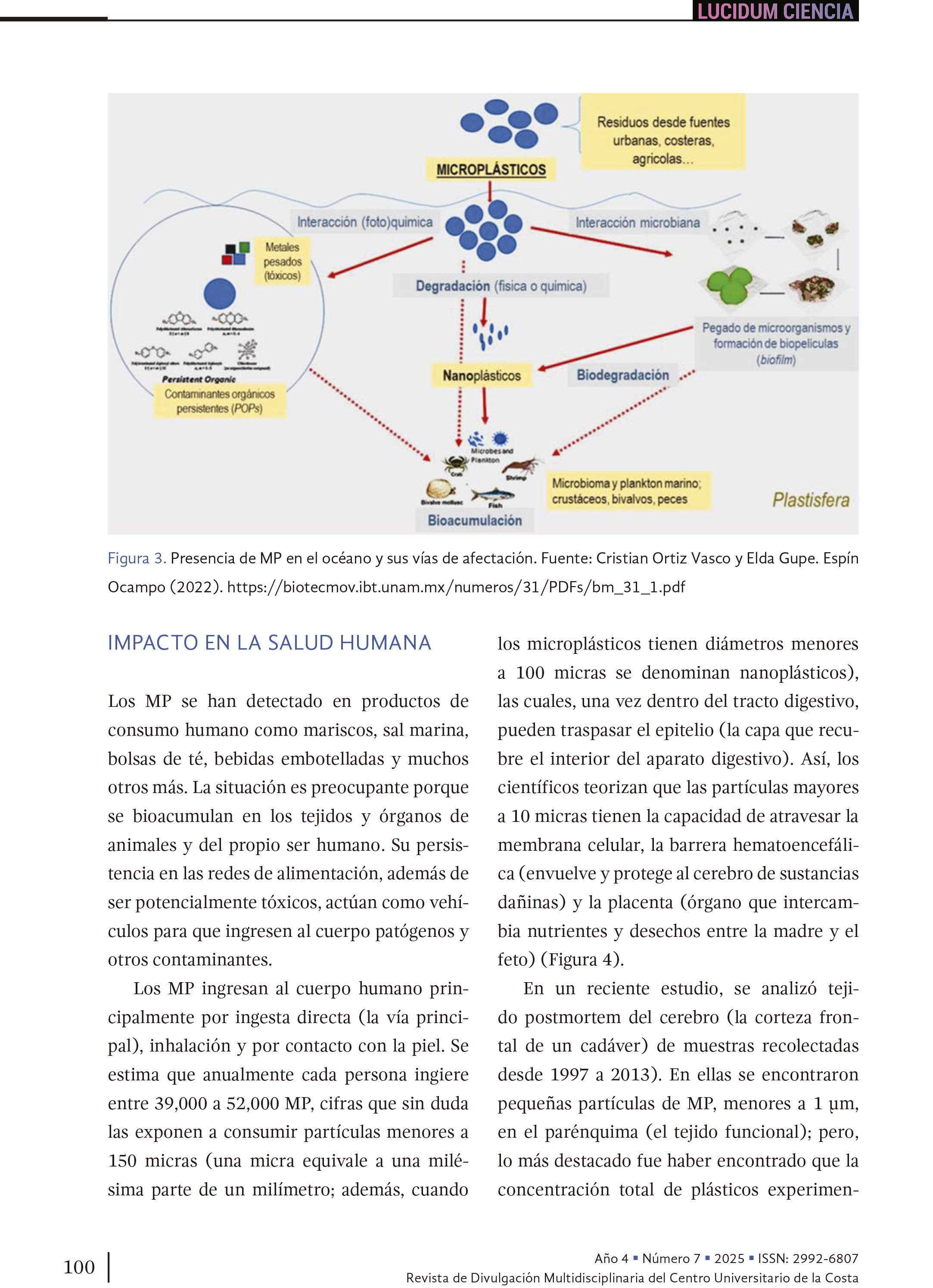 11. Microplásticos: amenaza para los ecosistemas y la salud humana