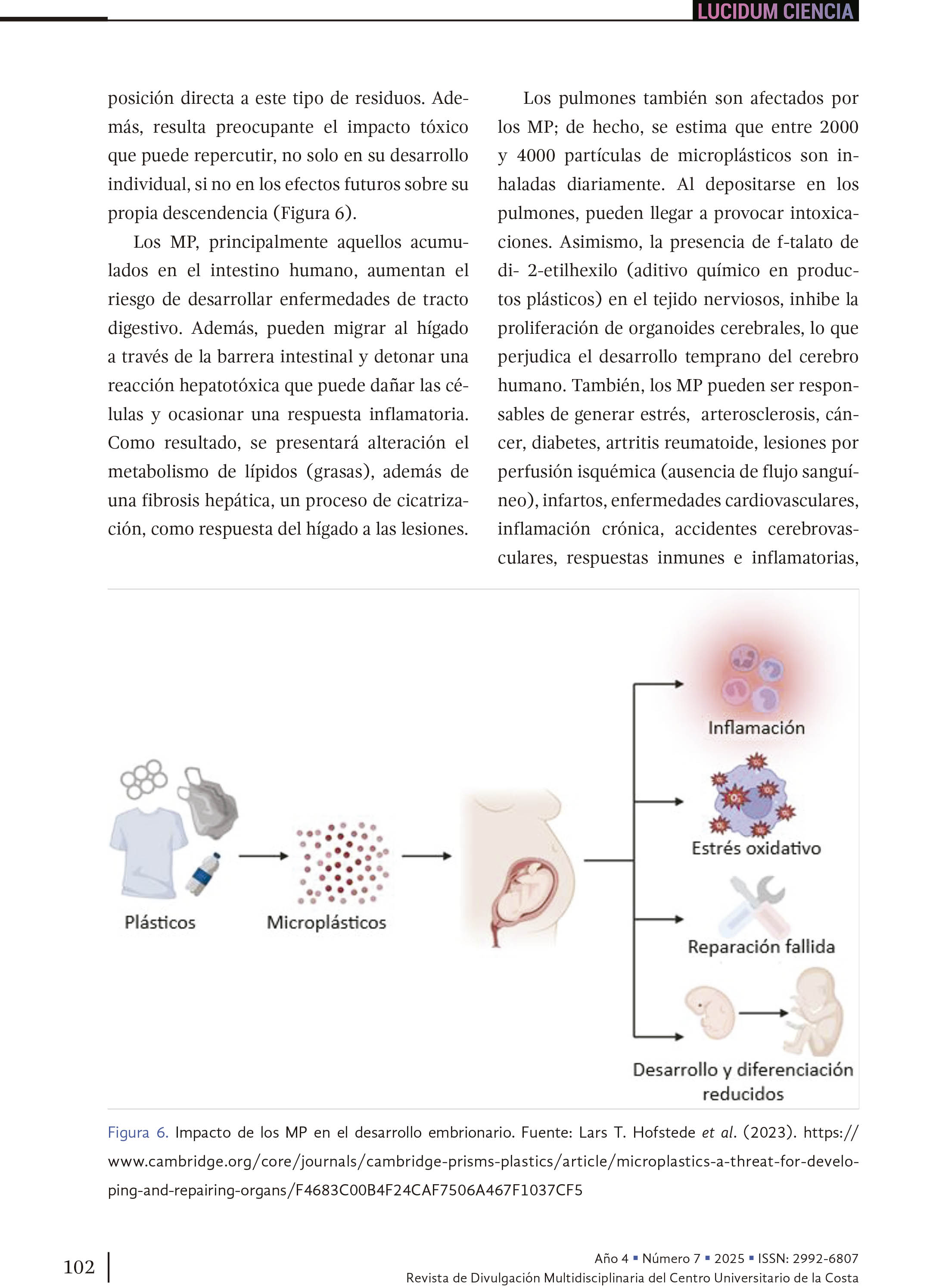 11. Microplásticos: amenaza para los ecosistemas y la salud humana