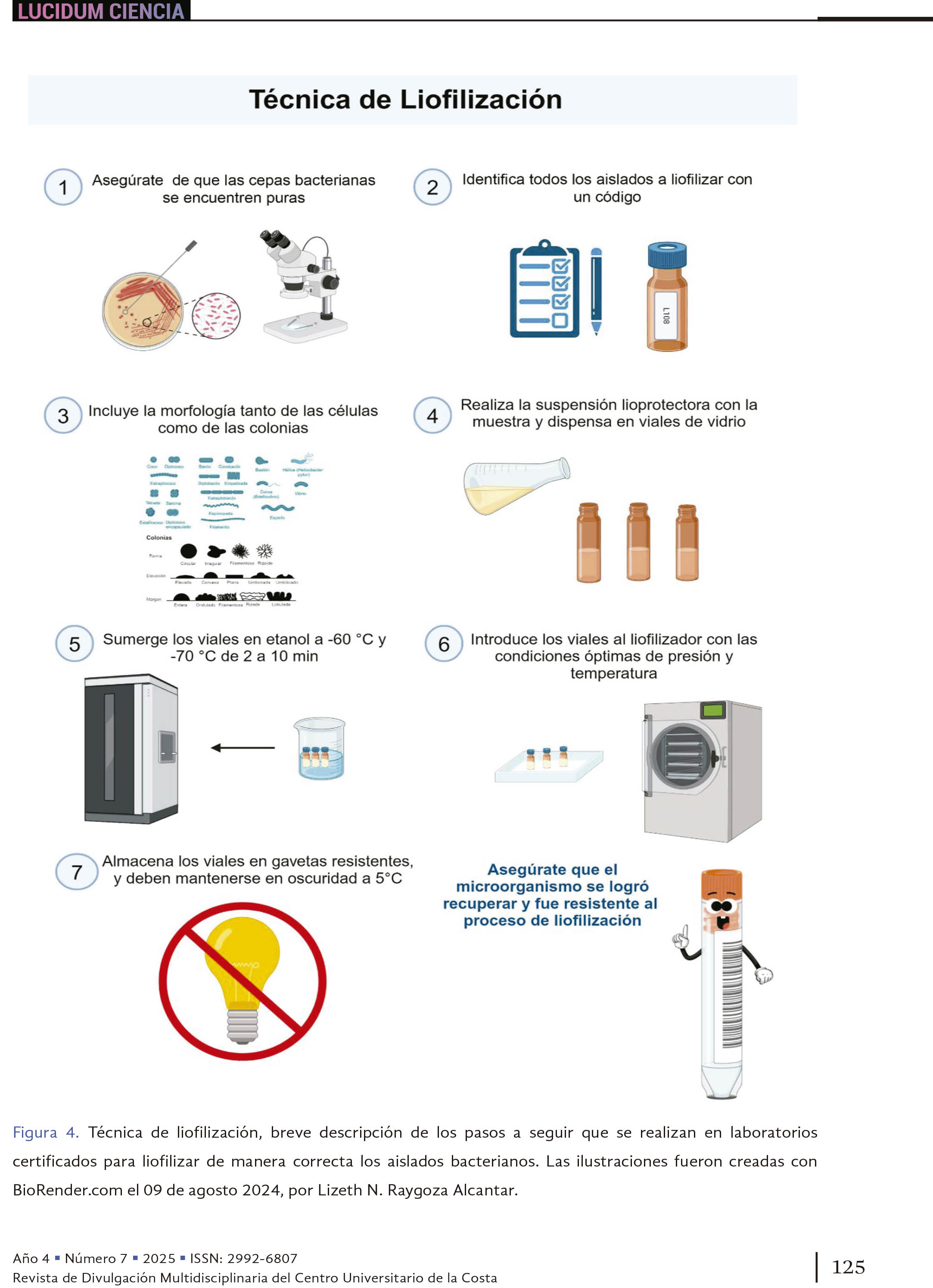 14. Conservando el futuro: el reto de la preservación bacteriana