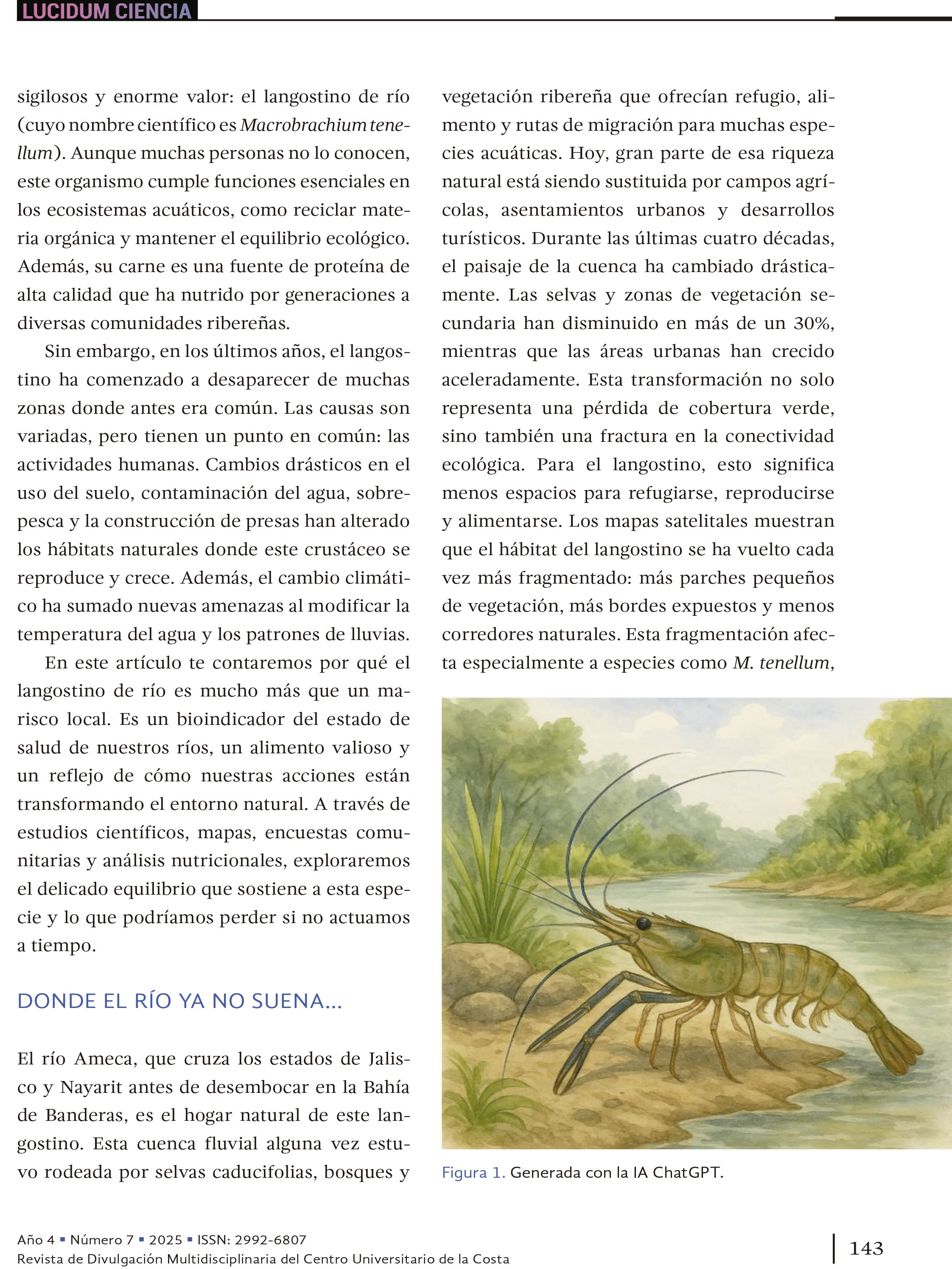 17. El langostino invisible: una joya ribereña amenazada por el impacto humano