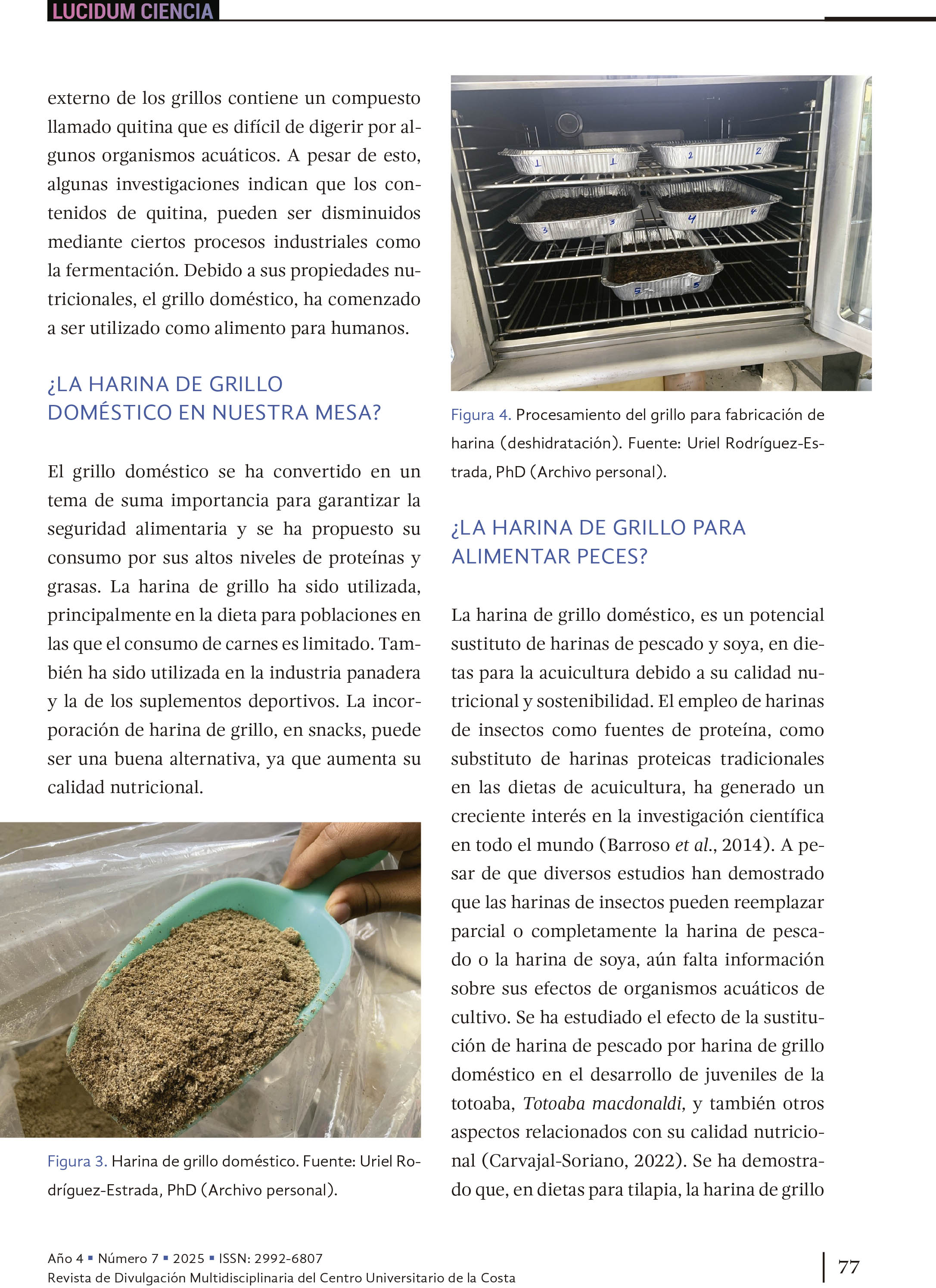 8. El grillo doméstico: ¿es el platillo favorito de nuestros peces de cultivo?