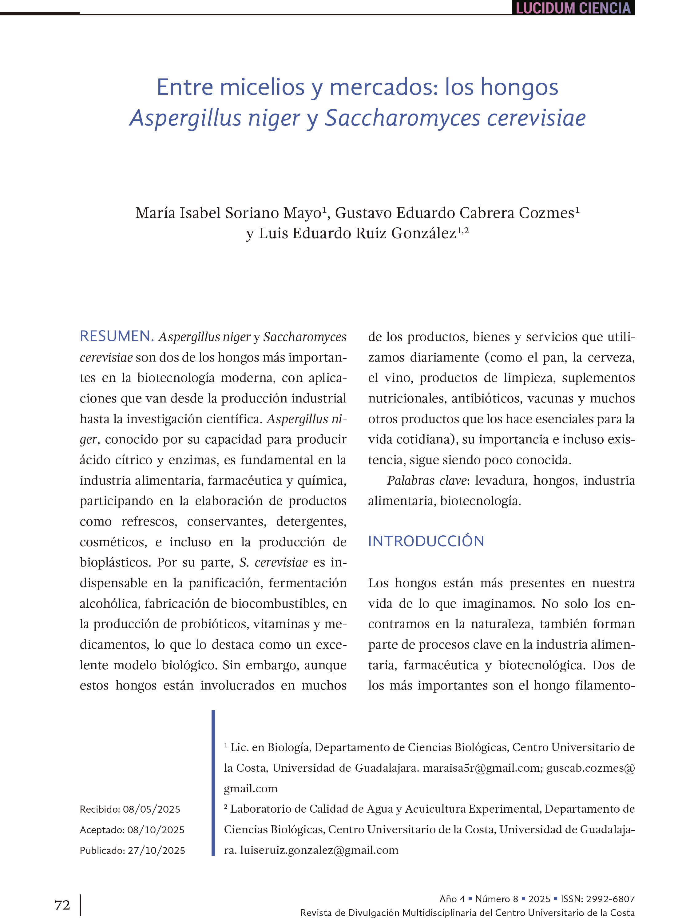 Entre micelios y mercados: los hongos Aspergillus niger y Saccharomyces cerevisiae