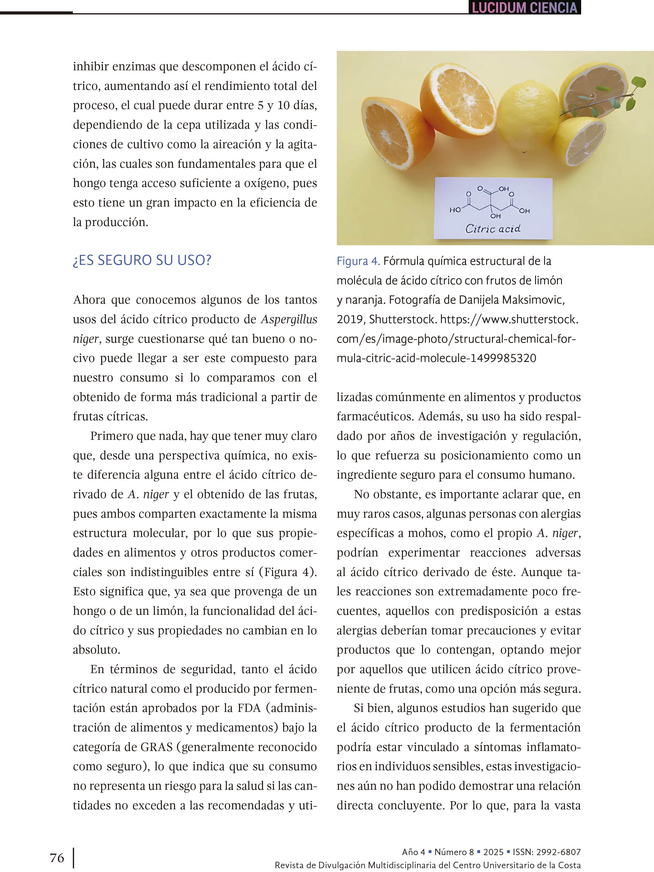 Entre micelios y mercados: los hongos Aspergillus niger y Saccharomyces cerevisiae