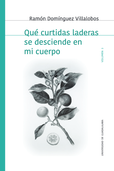 Qué curtidas laderas se desciende en mi cuerpo - 2018