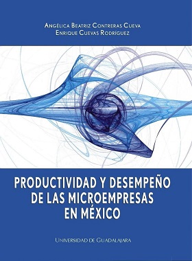 Productividad y desempeño de las microempresas en mexico - 2008