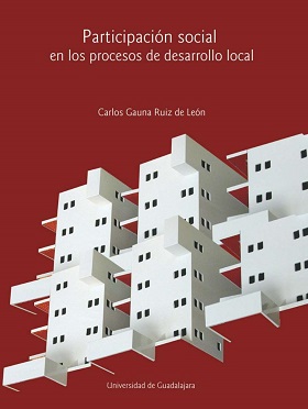 Participacion social en los procesos de desarrollo local - 2011