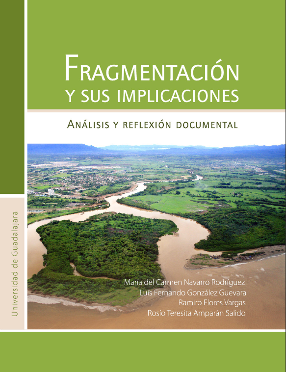 Fragmentacion y sus implicaciones analisis y reflexion documental - 2015