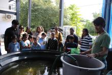 Estudiantes de la Escuela Primaria Ignacio Allende visitan laboratorios del CUCosta