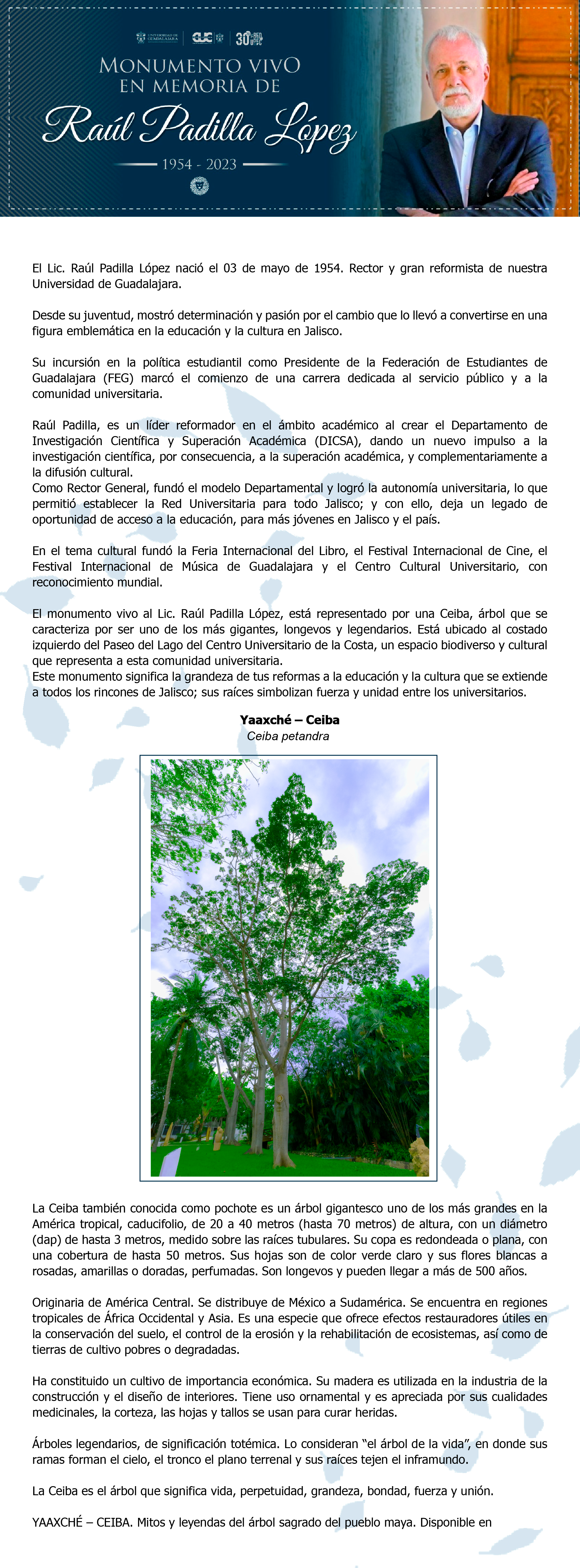 Arbol Ceiba