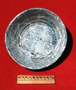 cerámica negro/bayo