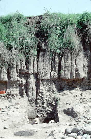 Excavación del Montículo