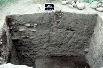 Excavación