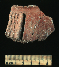 Tiestos de la fase Ixtapa Temprano