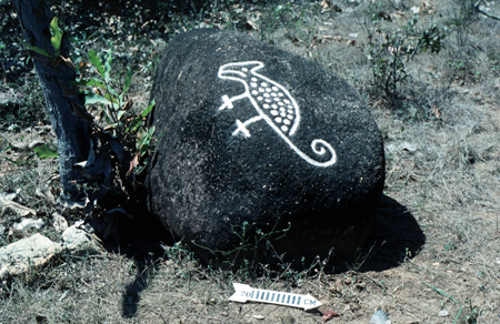 Peña grabada - "el armadillo"