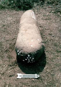 Estela - animales grabados y pocitos