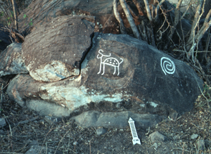 Piedra Grabada - Venado