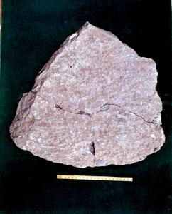 Laja Triangular