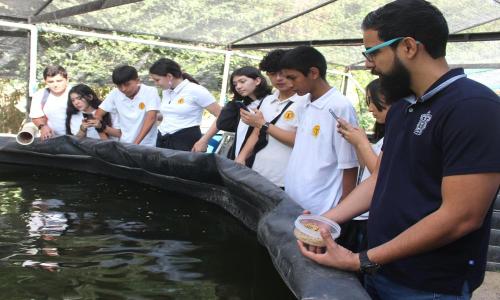 UdeG obtiene patente por innovación en alimentación