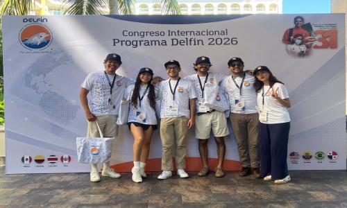  31.º Verano DELFÍN 2026