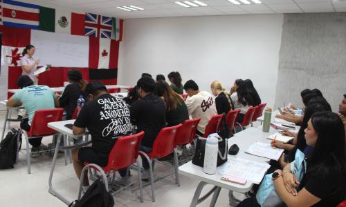 Talleres y asesorías de idiomas 