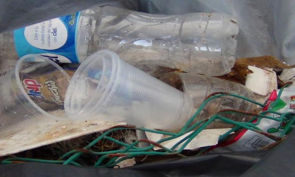 Reúnen cerca de 13 toneladas de Residuos en el Día Internacional de Limpieza de Playas