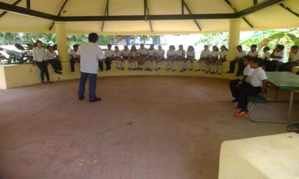 Programa “Niños en Museos” del Museo de Arte Peter Gray en CUCosta