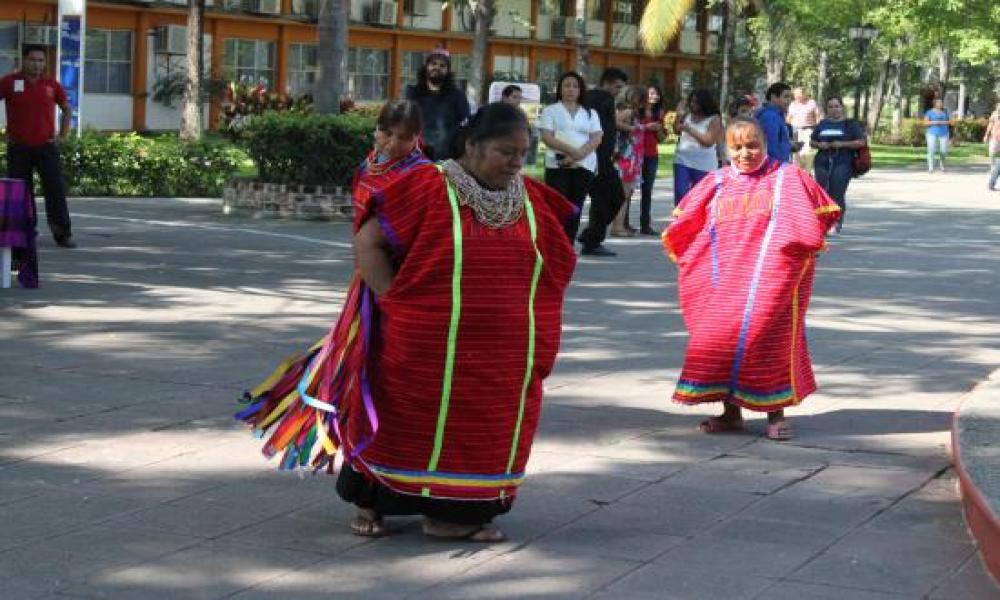 Raíces de nuestra mexicanidad: Encuentro de comunidades indígenas en CUCosta