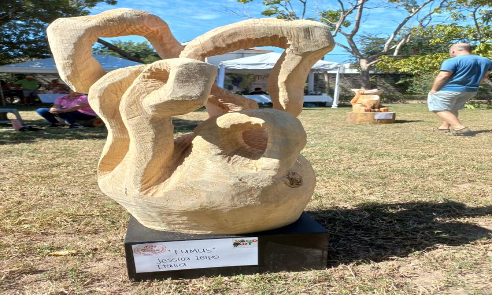 TEXTURAS EN SINFONÍA DE PINO