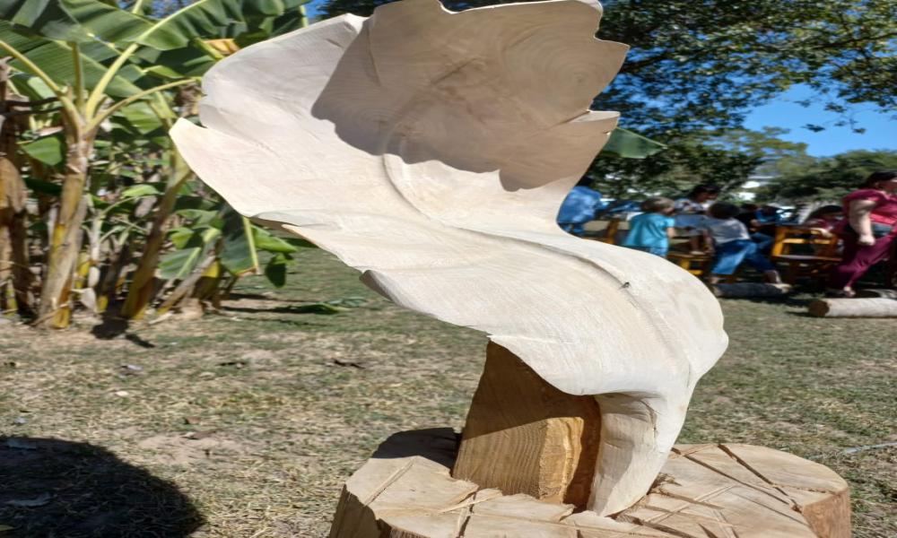 TEXTURAS EN SINFONÍA DE PINO