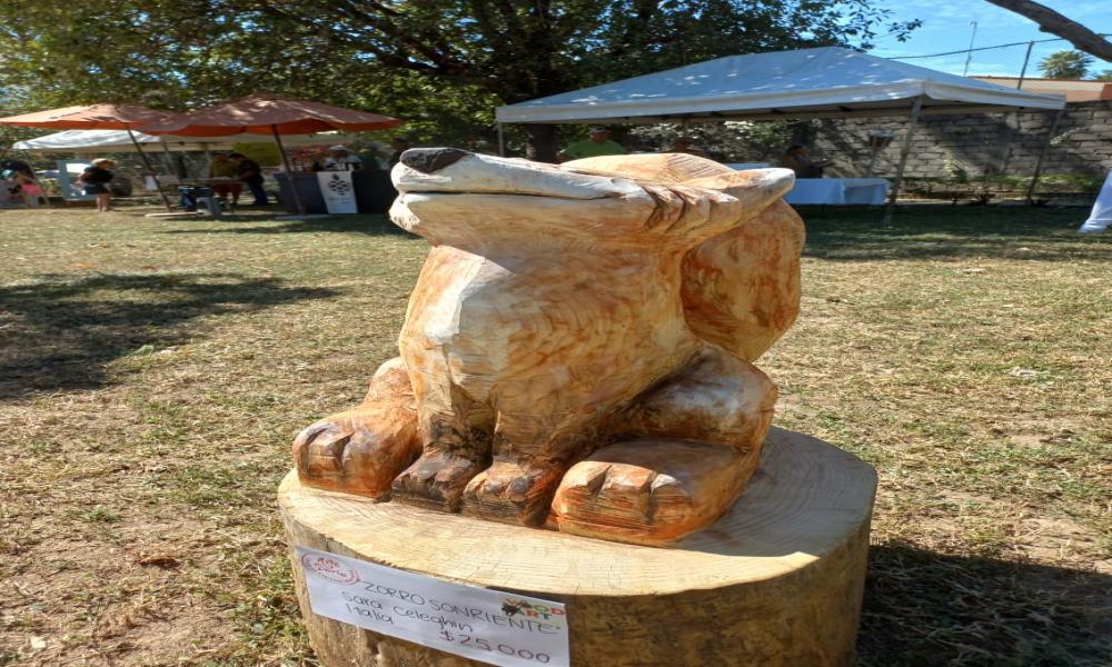 TEXTURAS EN SINFONÍA DE PINO