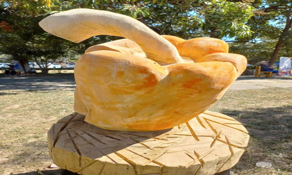 TEXTURAS EN SINFONÍA DE PINO