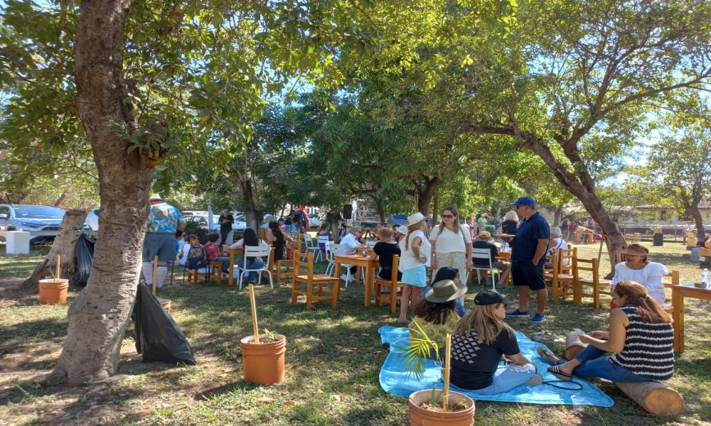 TEXTURAS EN SINFONÍA DE PINO