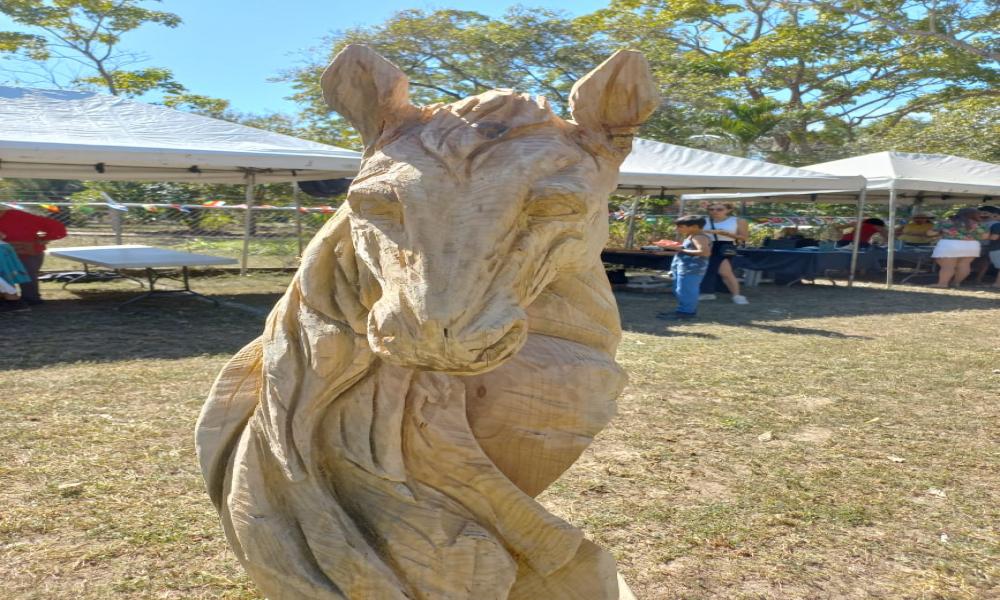 TEXTURAS EN SINFONÍA DE PINO