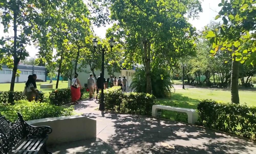 Visitan CUCosta estudiantes de posgrado de la Universidad del Norte de Illinois