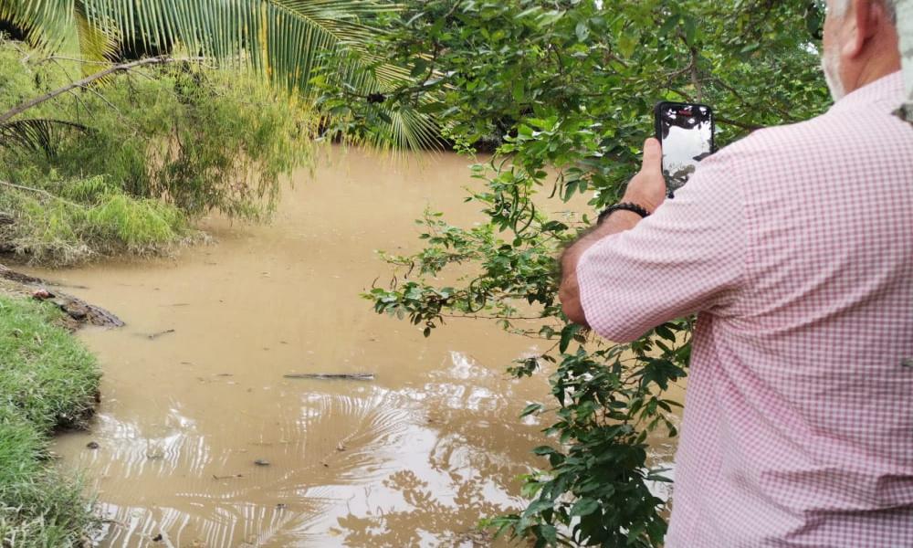 La presencia de cocodrilo sorprende gratamente a la comunidad universitaria