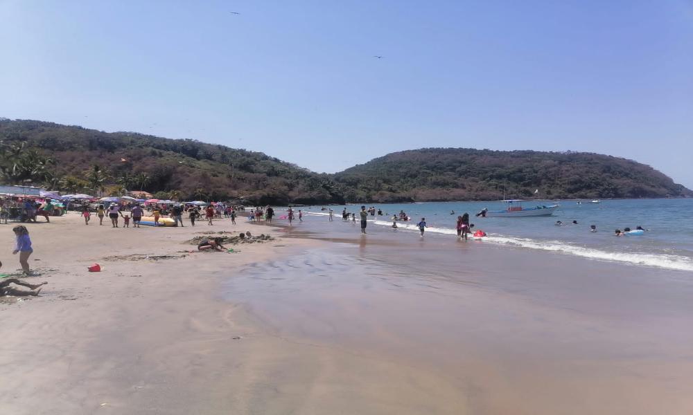 Salen morenas a la orilla del mar debido al agua fría y a reproducirse