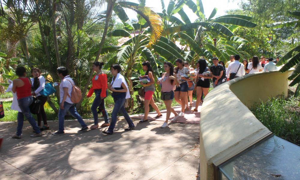 150 alumnos llegan a CUCosta para investigaciones de verano con el Programa Delfín