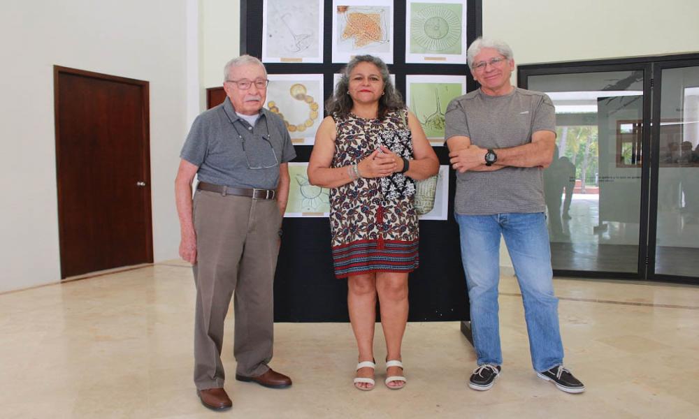 Presentan biólogos exposición fotográfica sobre micro algas marinas