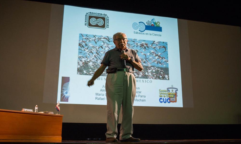 Humedales, ecosistemas fundamentales para la vida
