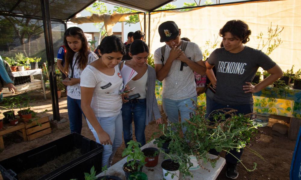 Inauguran huerto orgánico “Jardín Gourmet” en CUCosta